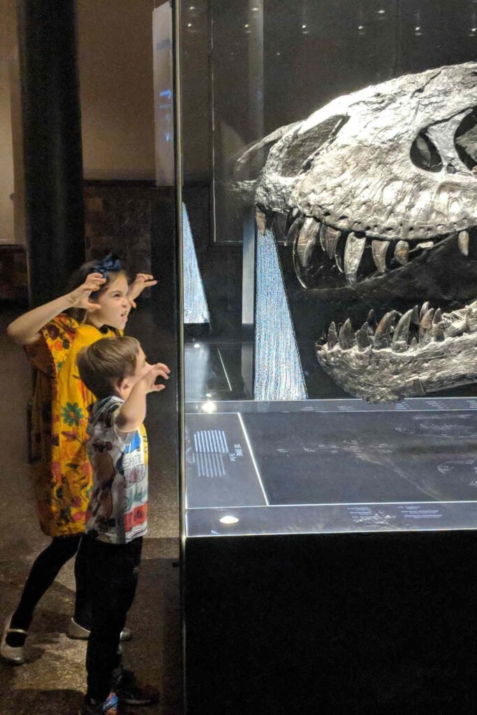 Museu de Historia Natural em Berlim