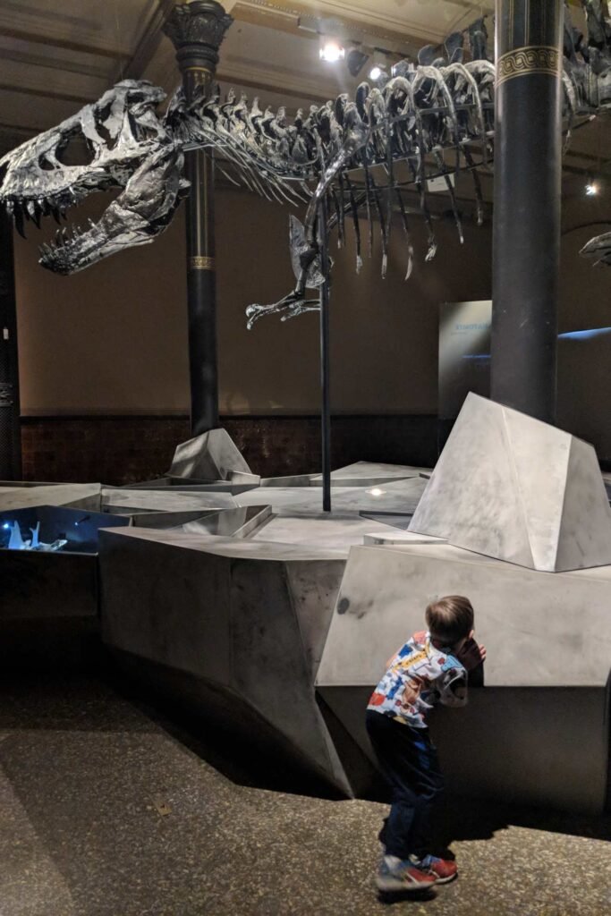 Museu de Historia Natural em Berlim